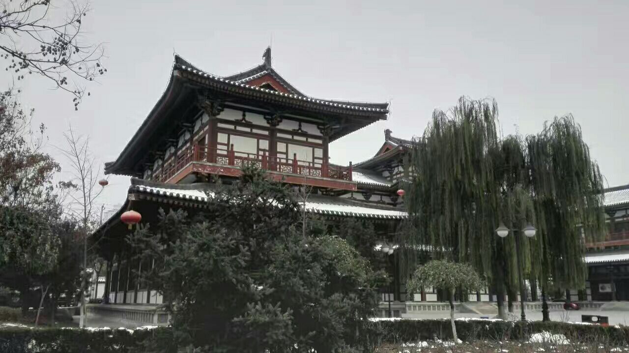 2020青龙寺-旅游攻略-门票-地址-问答-游记点评,西安旅游旅游景点推荐