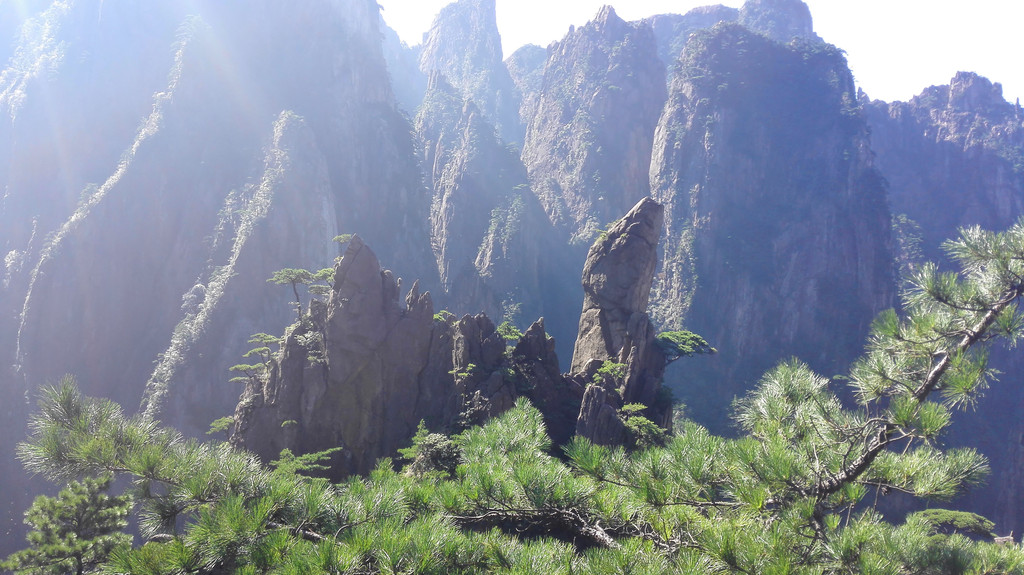 骆驼峰,有没有