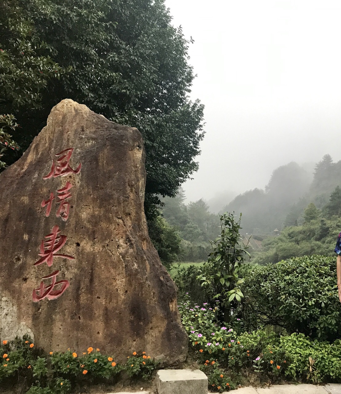 丽水东西岩景区好玩吗,丽水东西岩景区景点怎么样