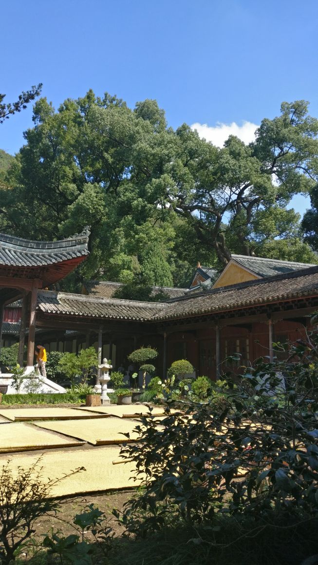徰
