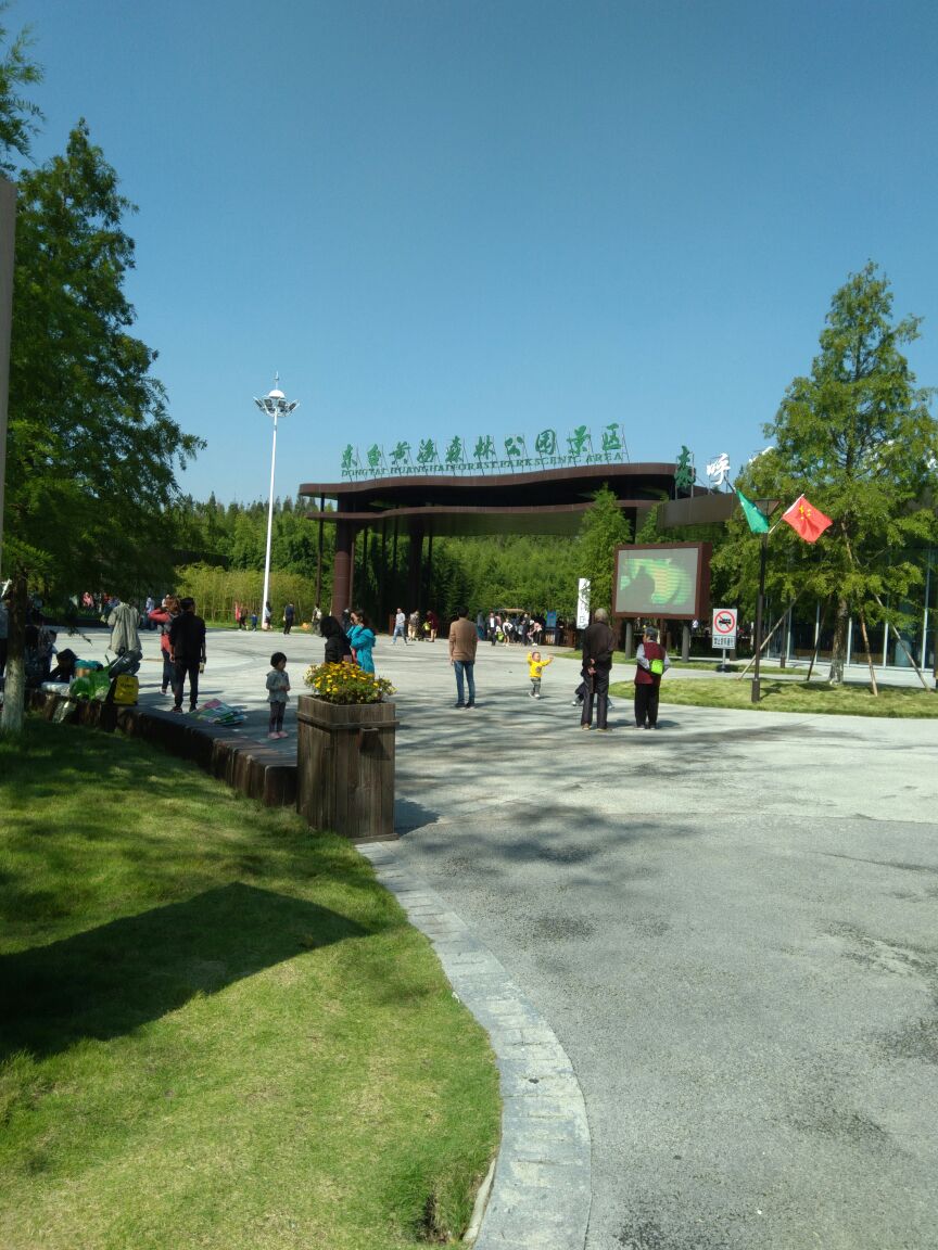 黄海森林公园