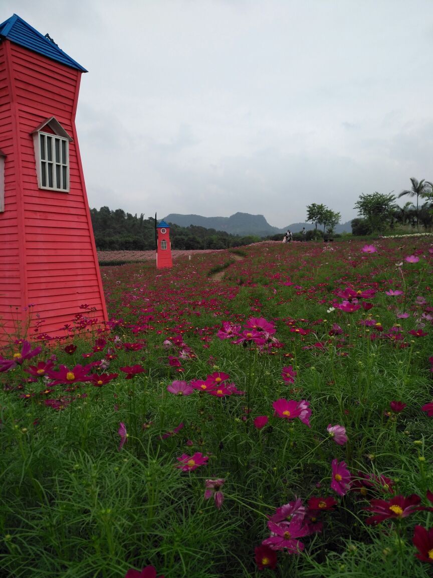 【携程攻略】长宁蜀南花海景点,花还是挺漂亮的,只是两个园区距离太远