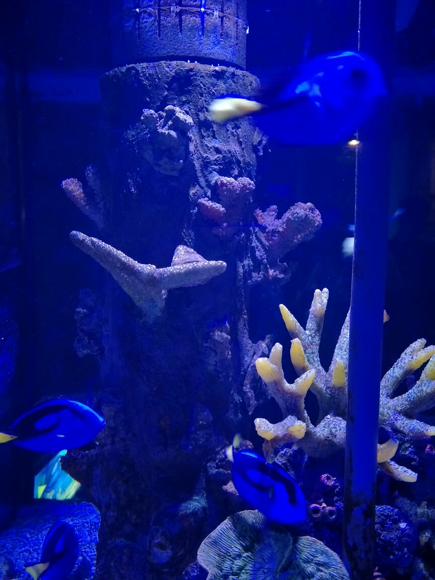 合肥海洋世界