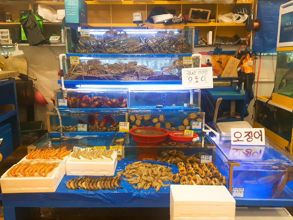 吃货的韩国鹭粱津一日游:海鲜水产市场 杯饭小吃街