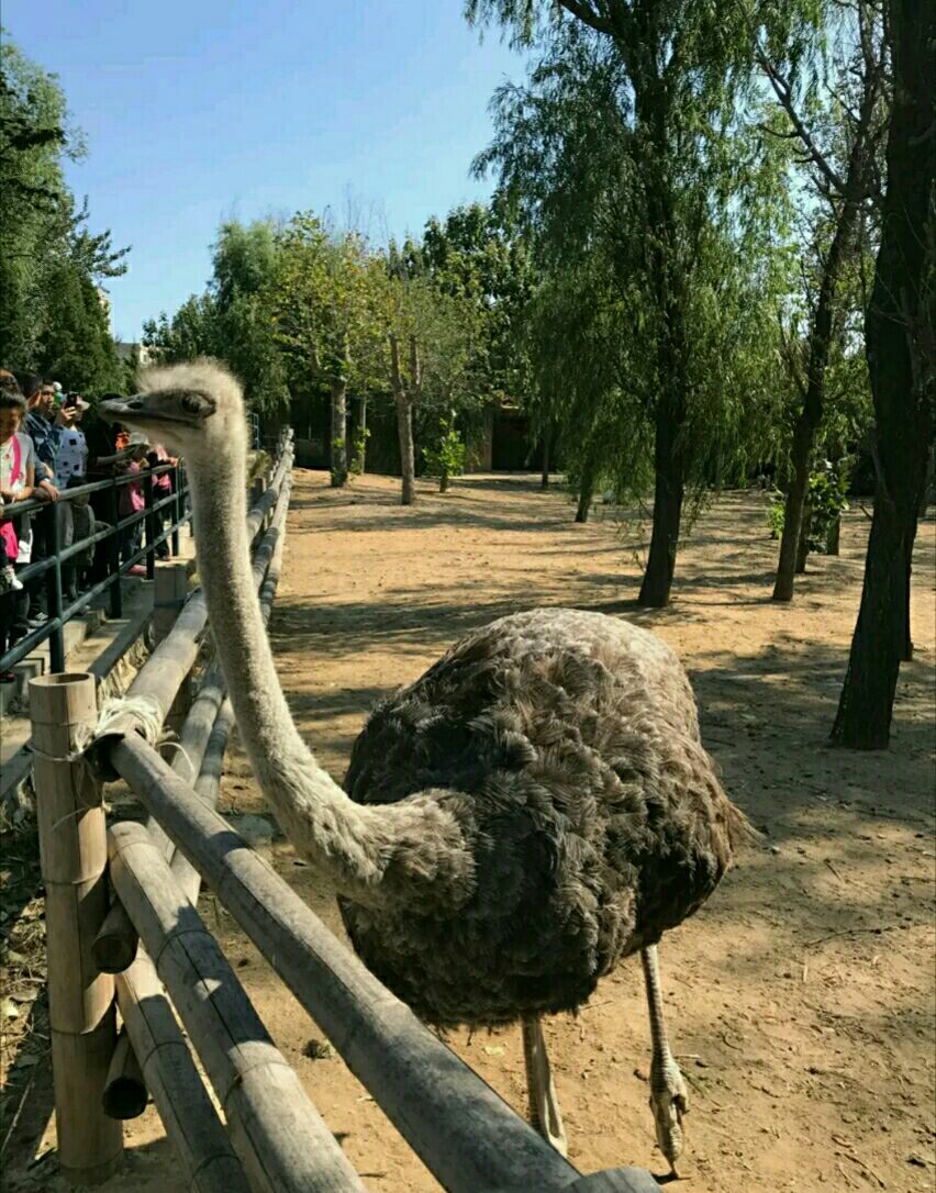 大连森林动物园