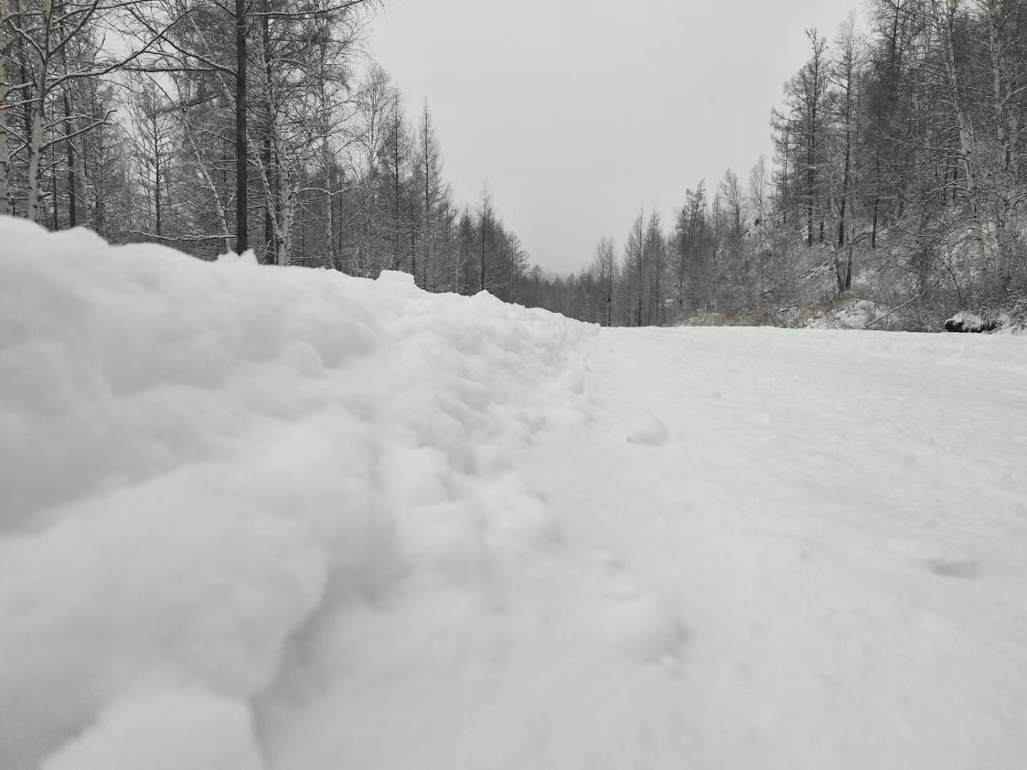 我想在十一月去漠河,那时下雪了吗