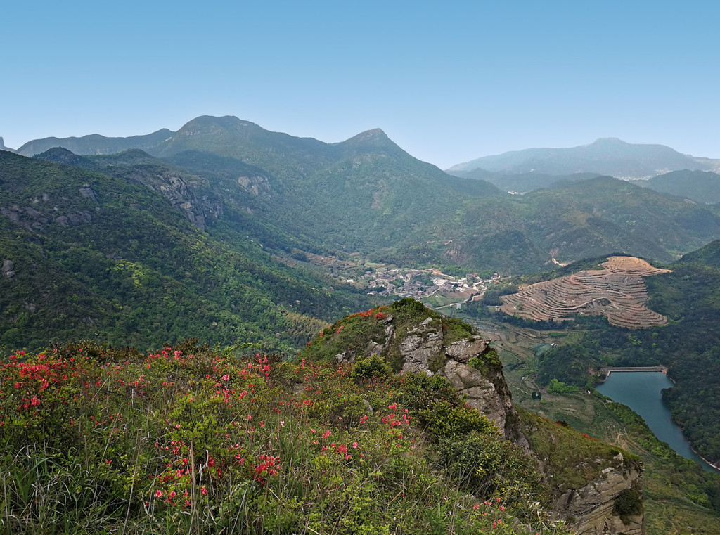 温岭上堡山杜鹃游