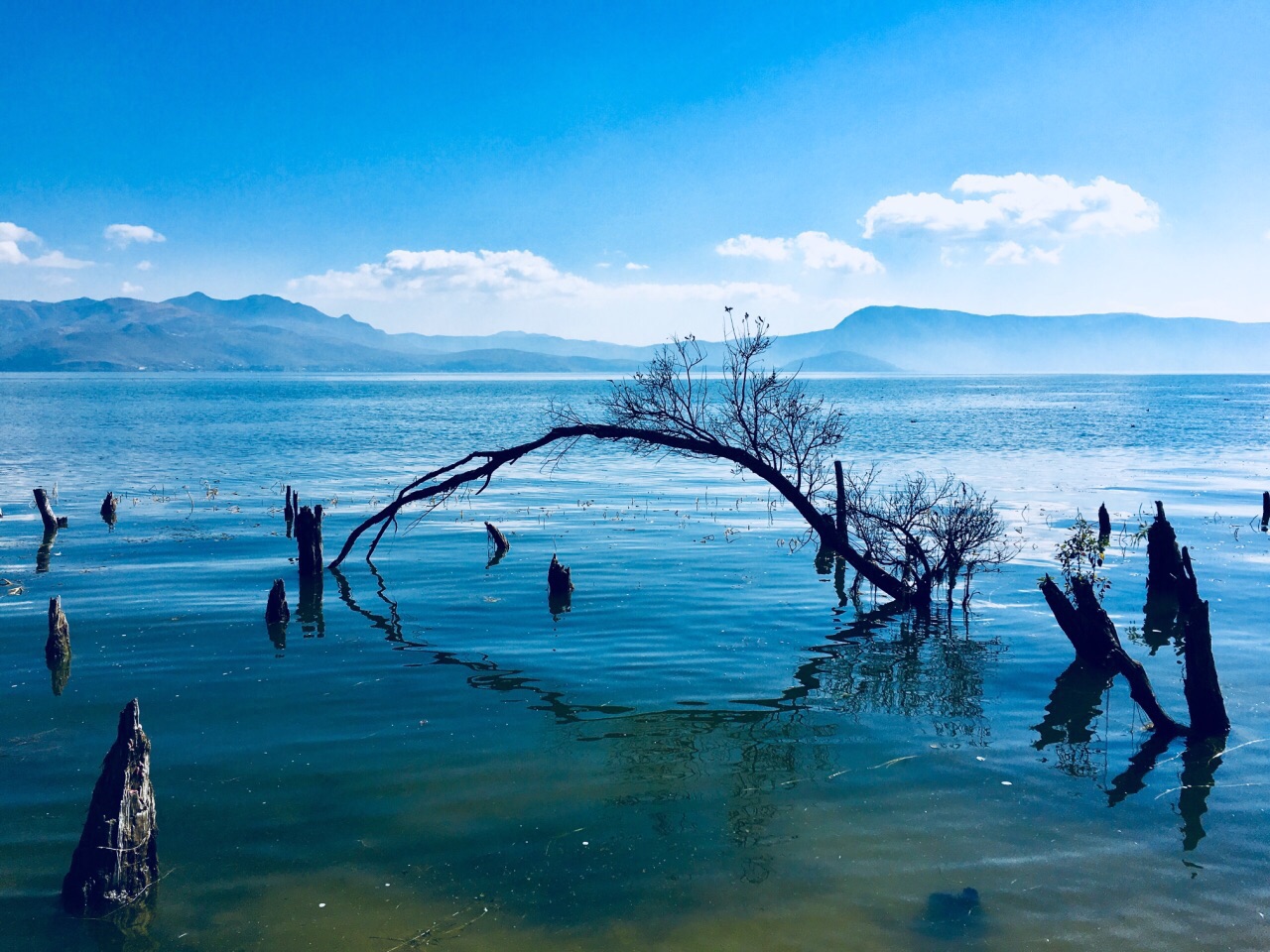 海舌生态公园旅游景点攻略图