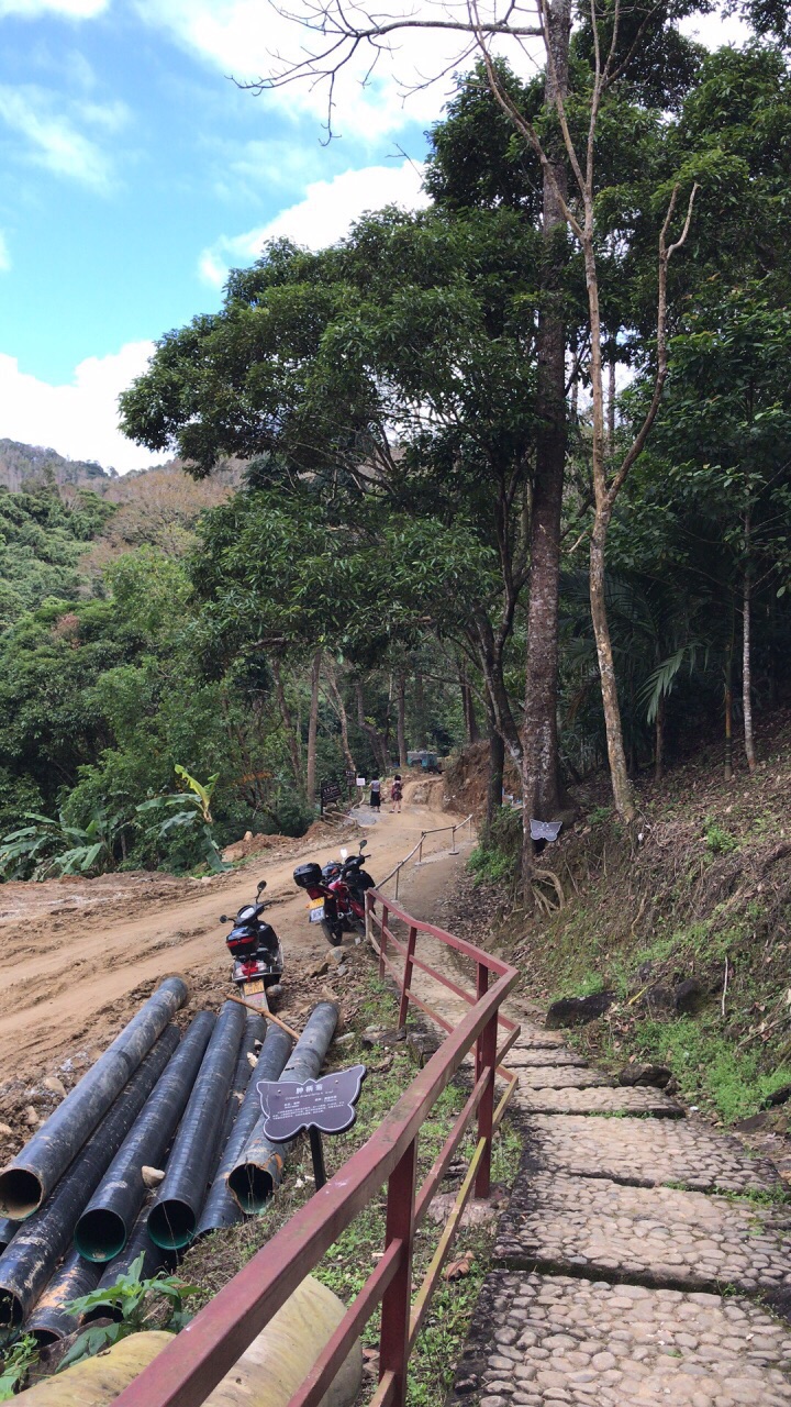 五指山热带雨林风景区