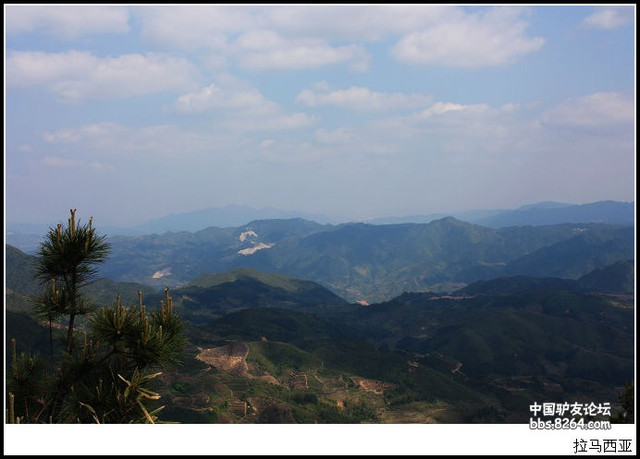 拉子的五一(泰顺廊桥-交洋土楼-福建寿宁南山顶-杨梅洲古道行)(更新