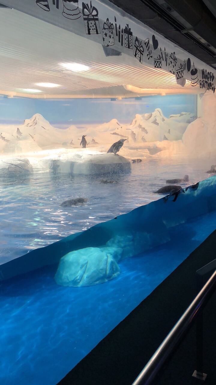 上海海洋水族馆