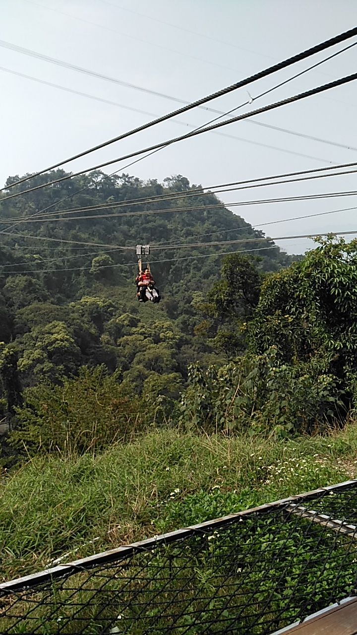 南丹山森林王国旅游景点攻略图