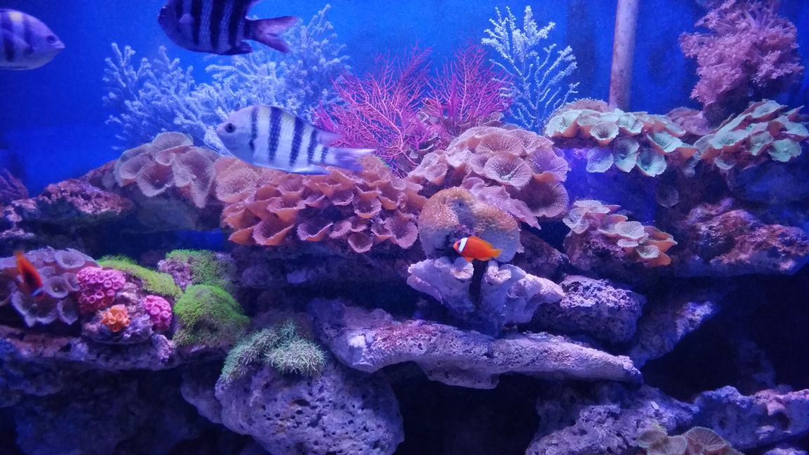 龙门海洋馆