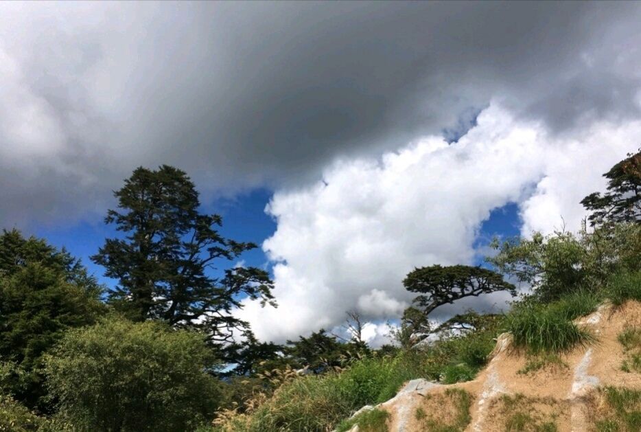 【携程攻略】太鲁阁合欢山景点,太鲁阁国家森林公园里面的主山峰,虽然