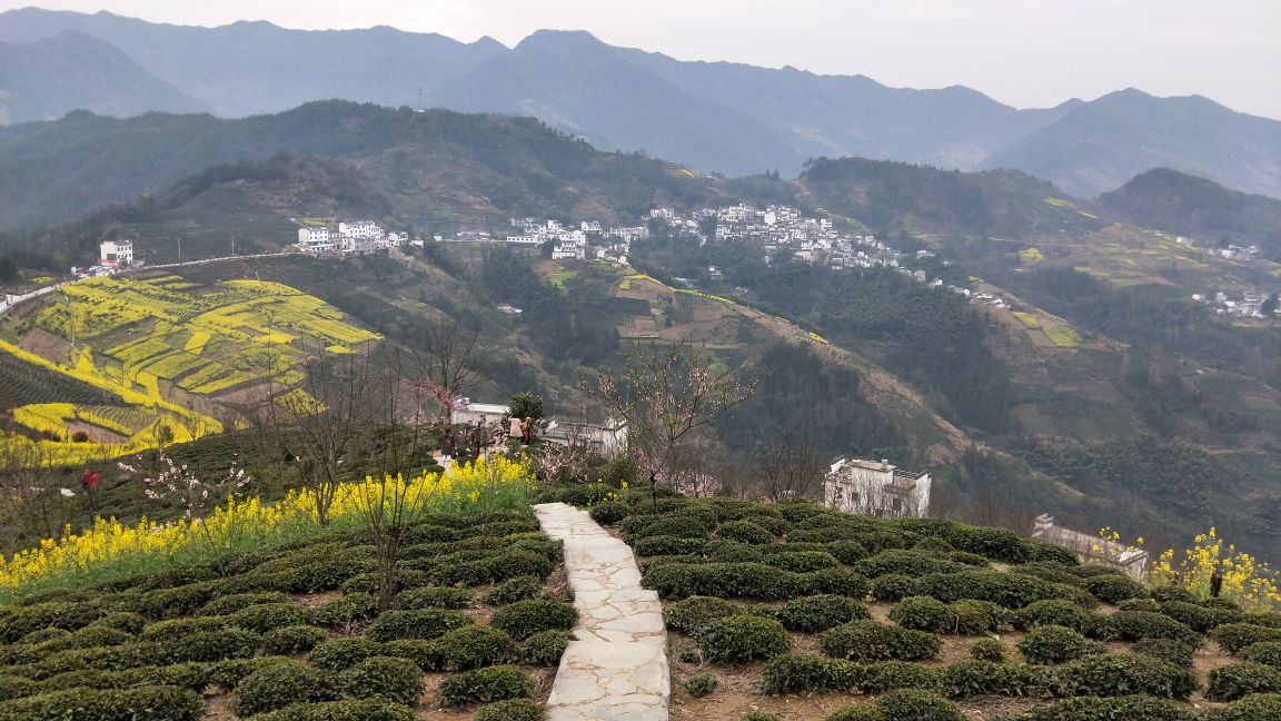 2019坡山村_旅游攻略_门票_地址_游记点评,歙县旅游