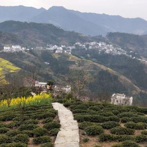 坡山村旅游景点攻略图