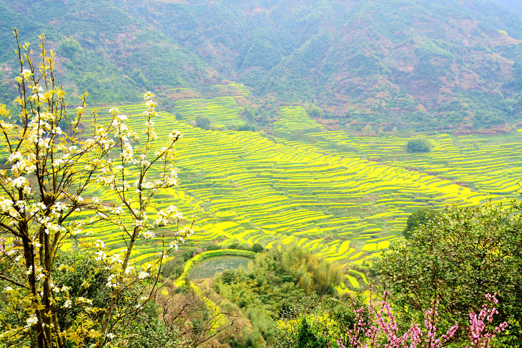 夏宁葆到婺源篁岭旅游.