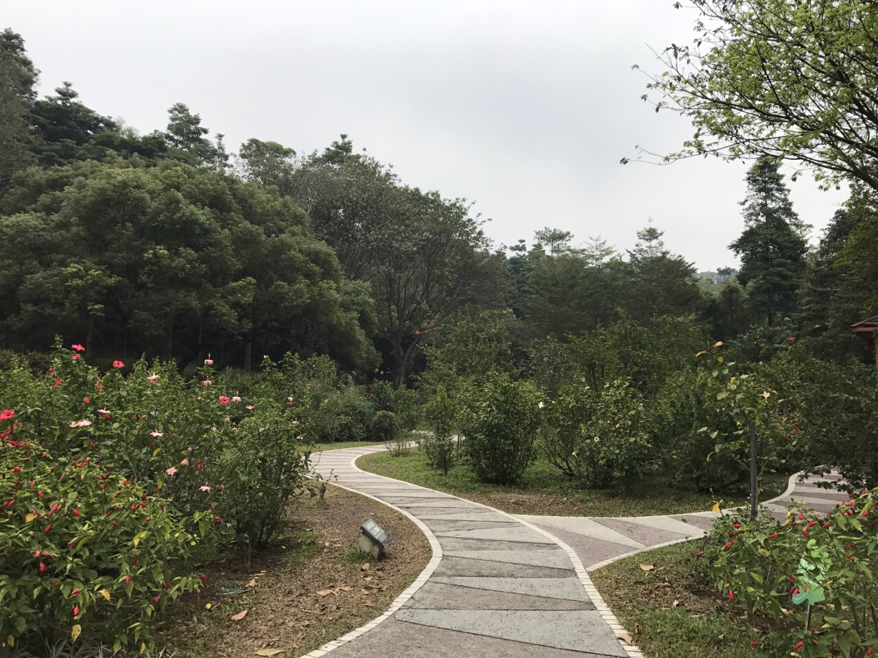 云溪生态公园