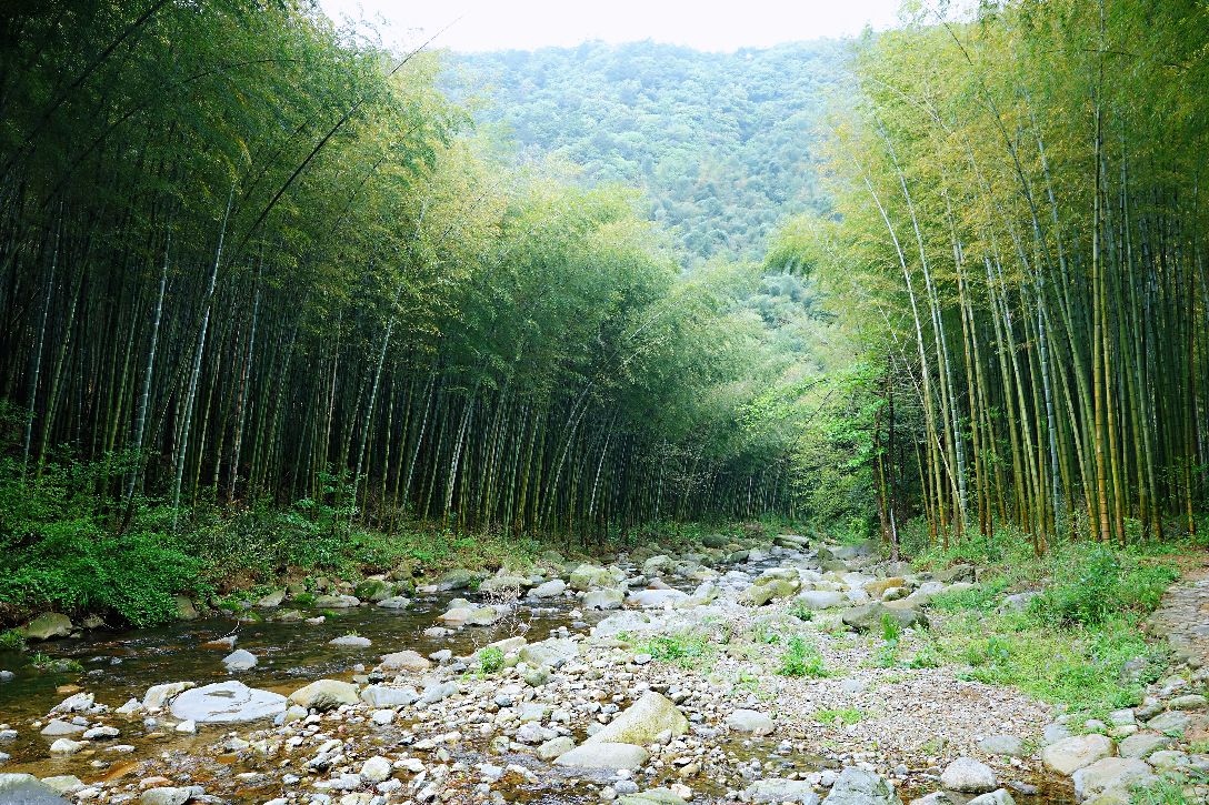 浙东小九寨旅游景点攻略图