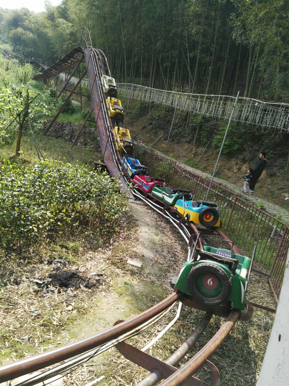 浙东大竹海景区