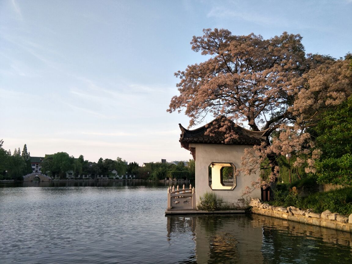 【携程攻略】淮安勺湖公园景点,勺湖公园的落日美极了,坐在落英亭的