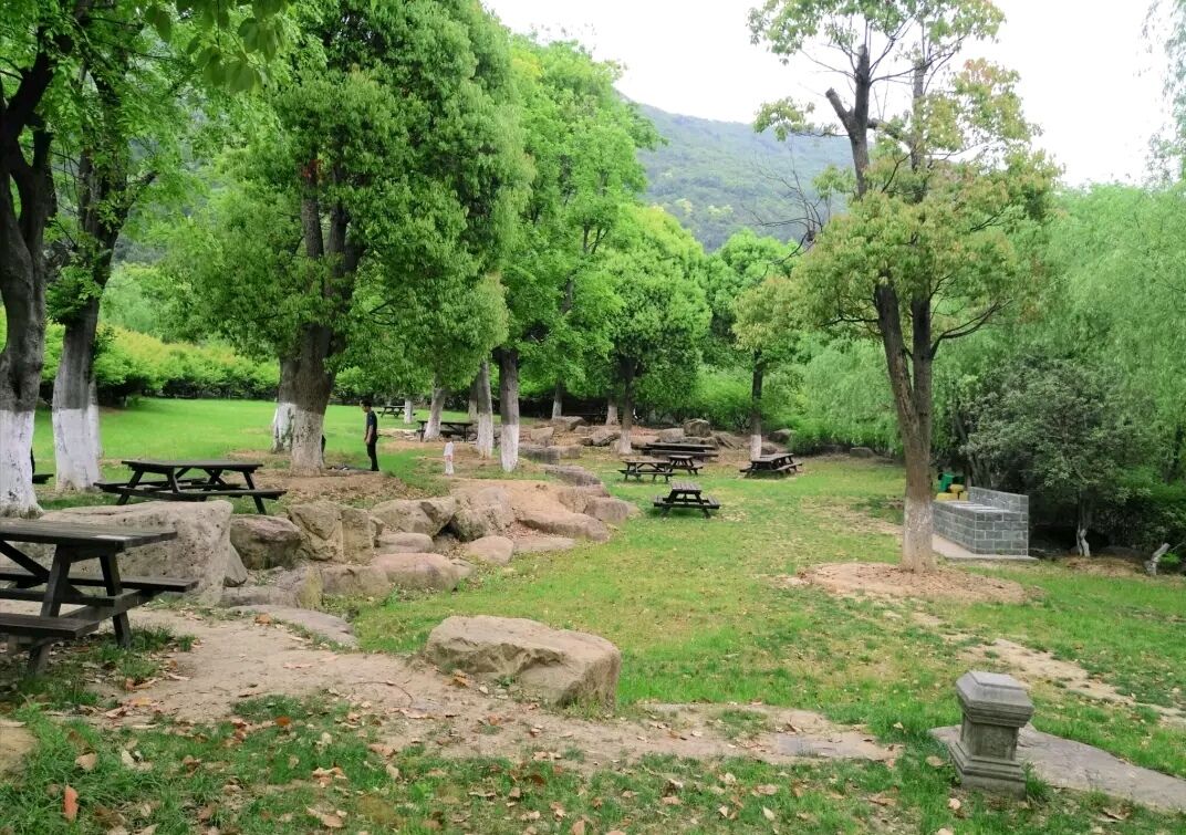 大阳山国家森林公园
