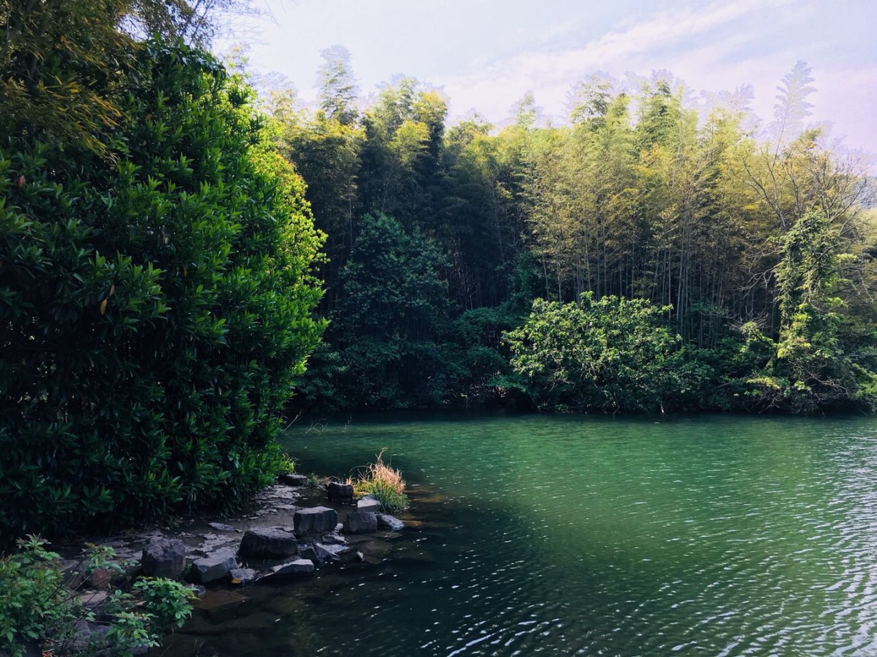 石塘竹海