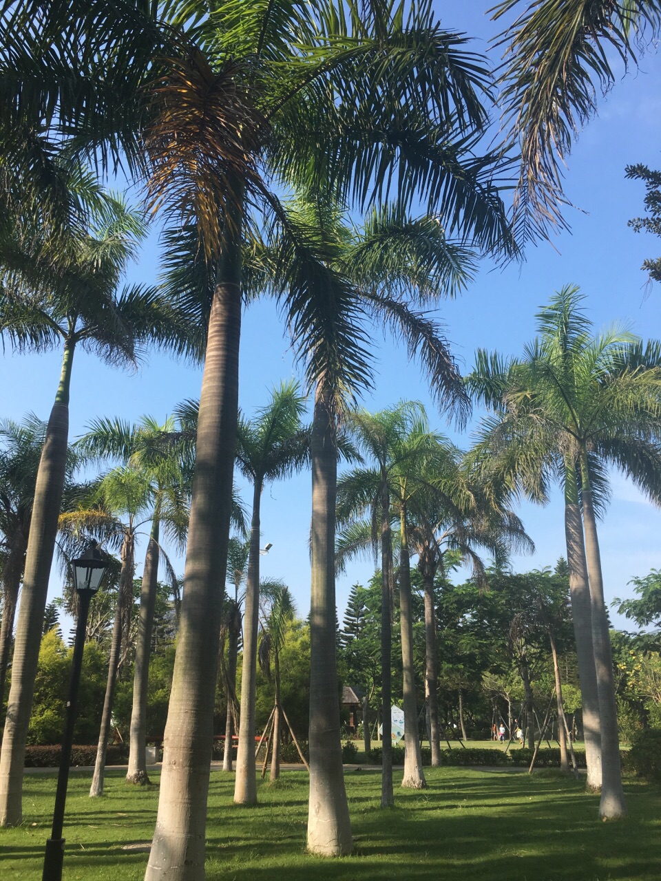 石狮鸳鸯池公园好玩吗,石狮鸳鸯池公园景点怎么样