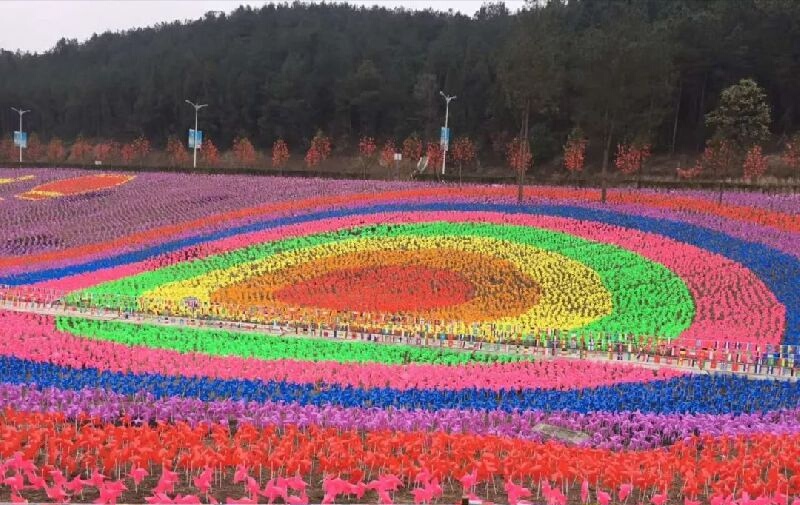 羊毛沟花海湿地