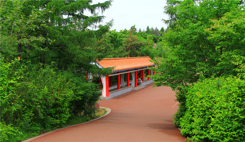 那一年,飘走东北,黑龙江休闲之旅;牡丹江市风采,北山公园,人民公园,八