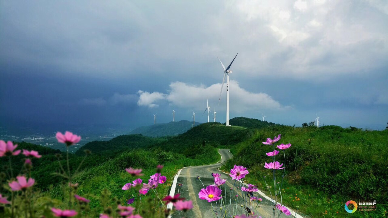 南山牧场