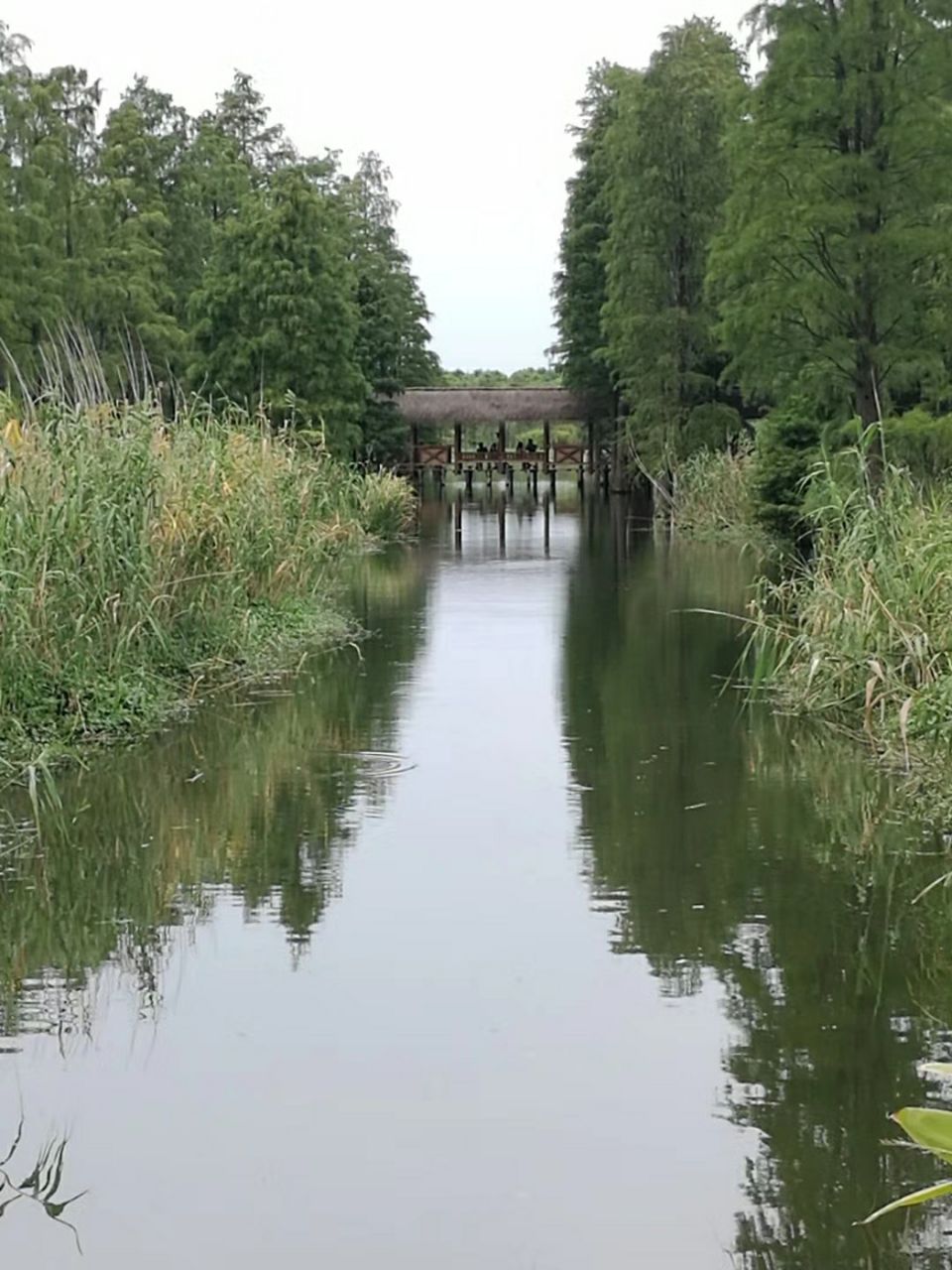 崇明区长兴岛郊野公园好玩吗,崇明区长兴岛郊野公园样