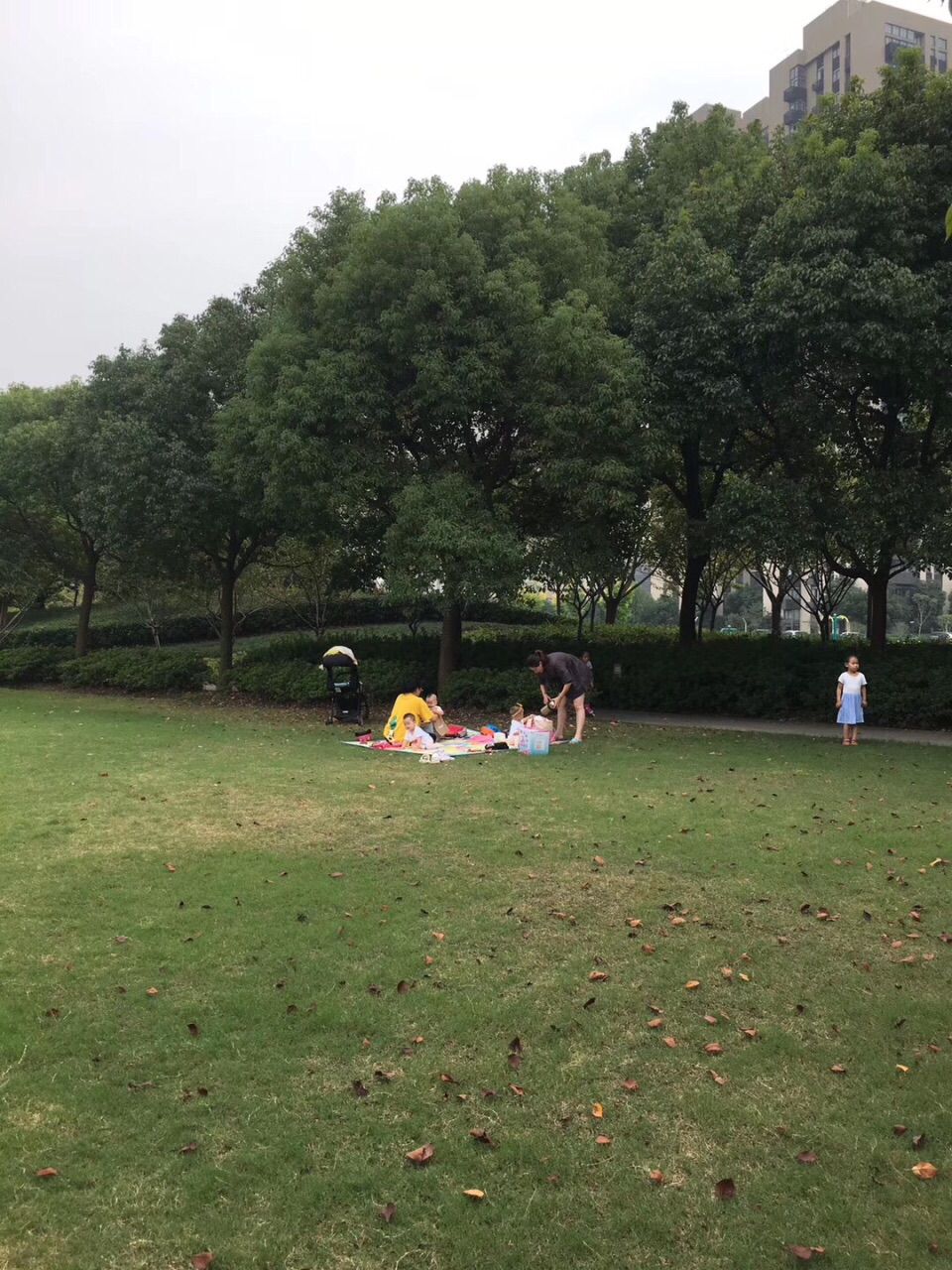 沁园湖绿地广场