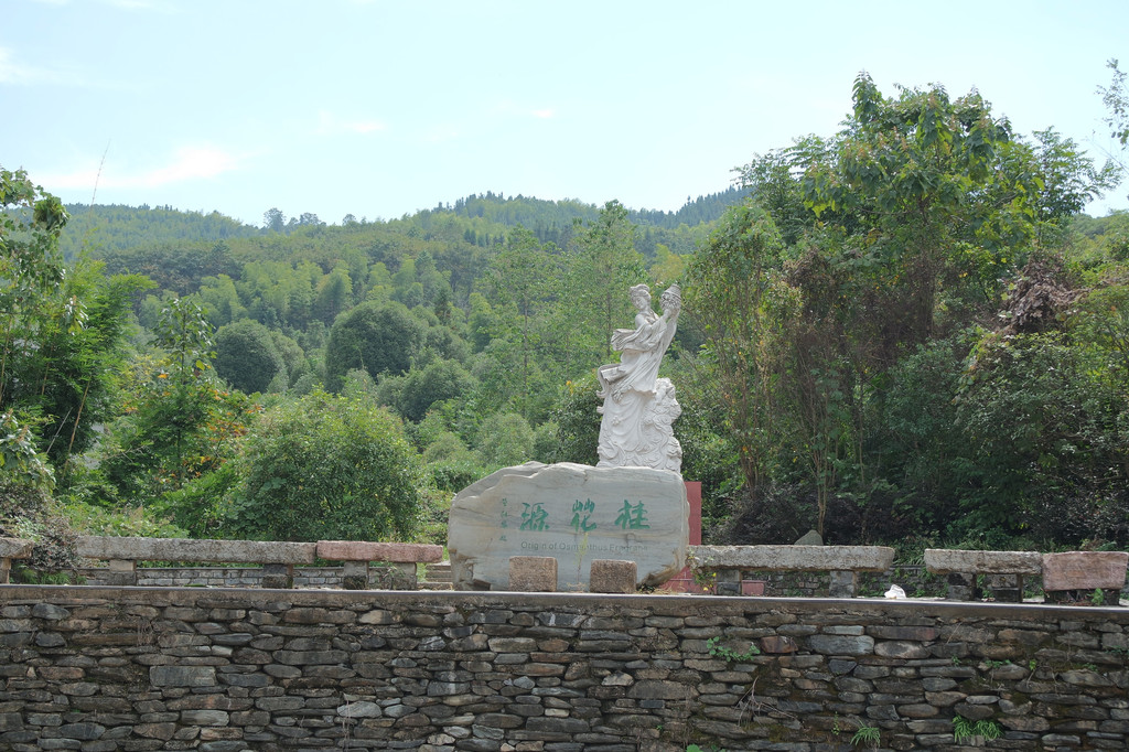 野趣-桂花源风景区 咸宁游记攻略【携程攻略】