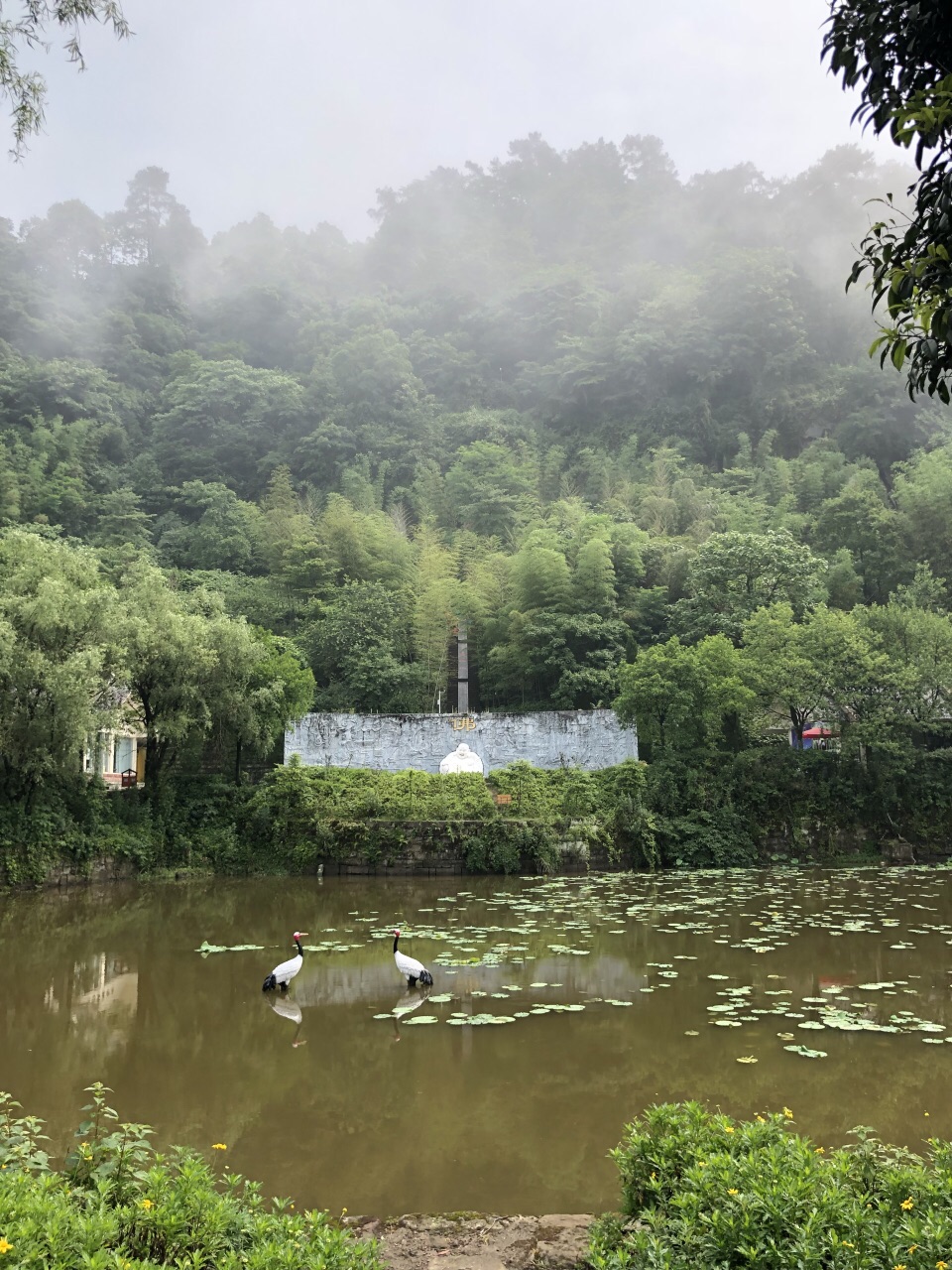 重庆圣灯山森林公园好玩吗,重庆圣灯山森林公园景点样