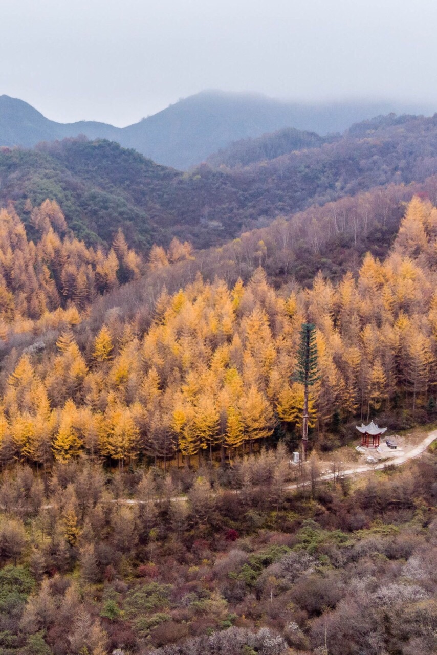 明天甘肃渭源天气怎么样_(甘肃定西渭源天气预报一周)