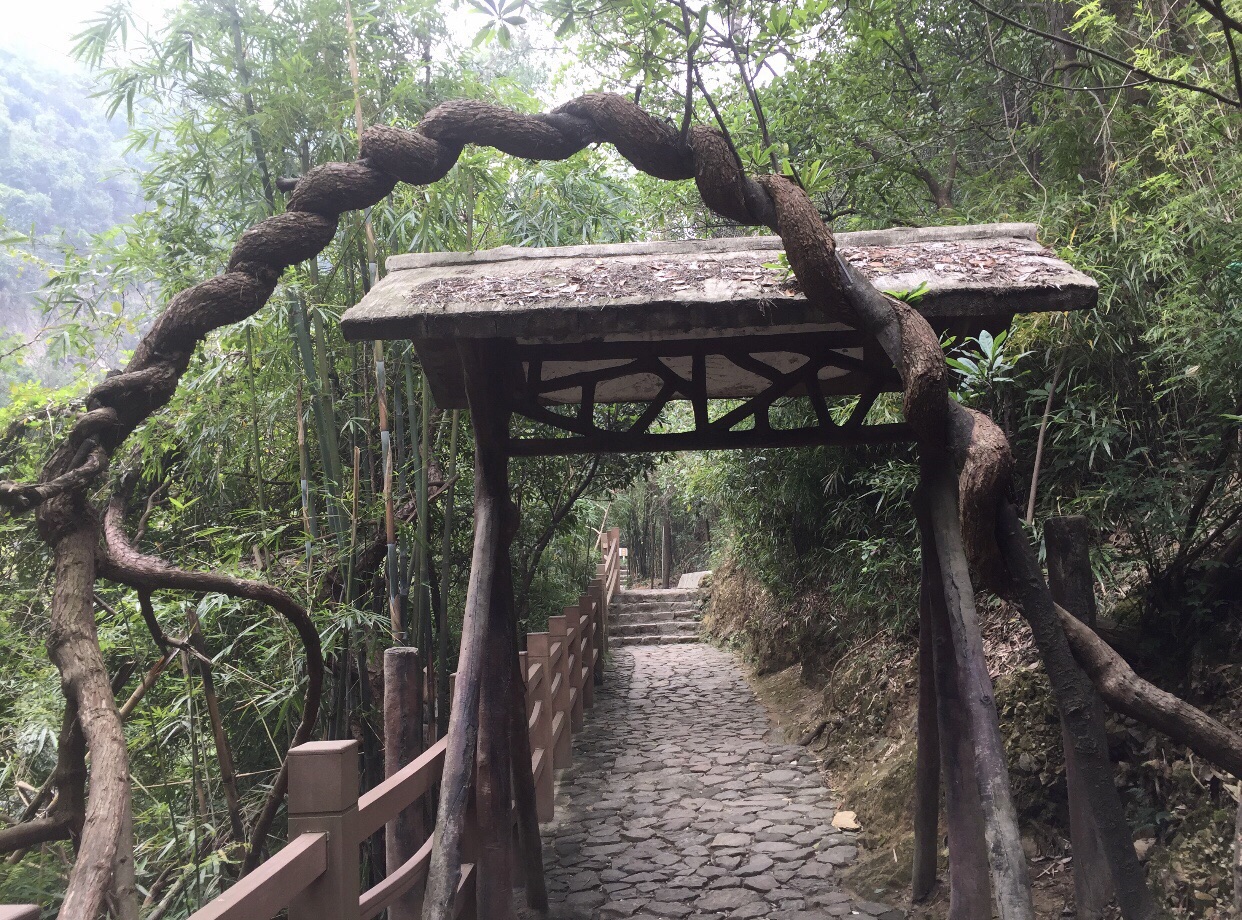 南海湾森林生态园旅游景点攻略图