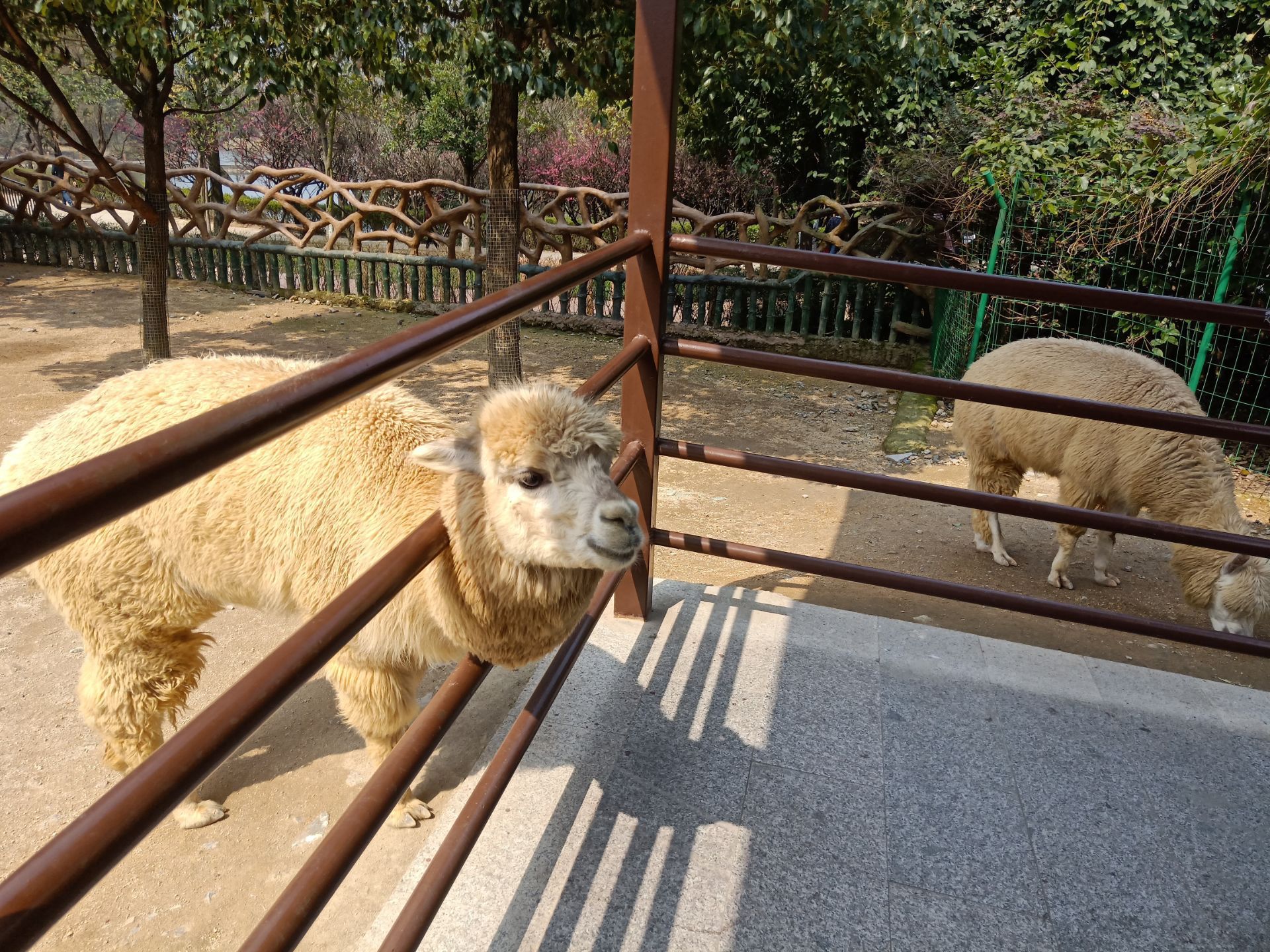 2019杭州野生动物世界_旅游攻略_门票_地址_游记点评,富阳旅游景点