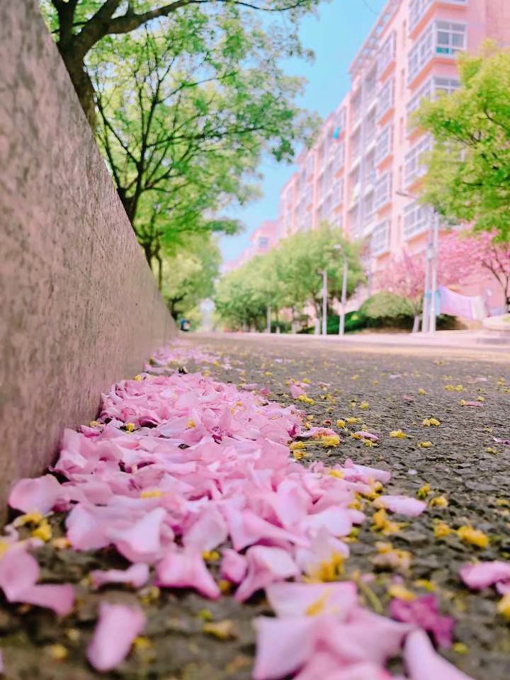 青岛科技大学旅游景点攻略图