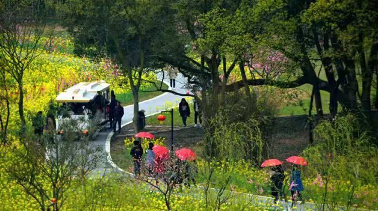 吉水墨潭桃花岛攻略-墨潭桃花岛门票价格多少钱-团购