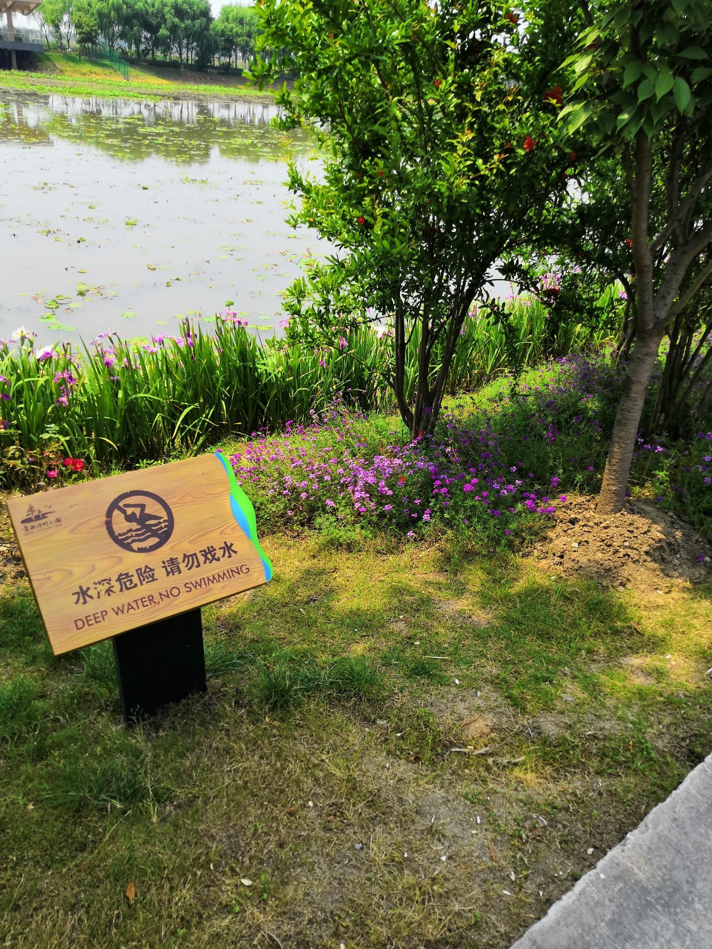 青西郊野公园