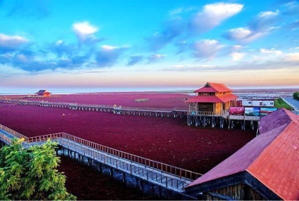 盘锦红海滩风景区