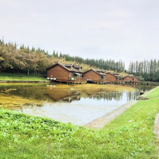 如皋金岛生态园   分 2条点评 度假村 公园乐园 距景点1.5km