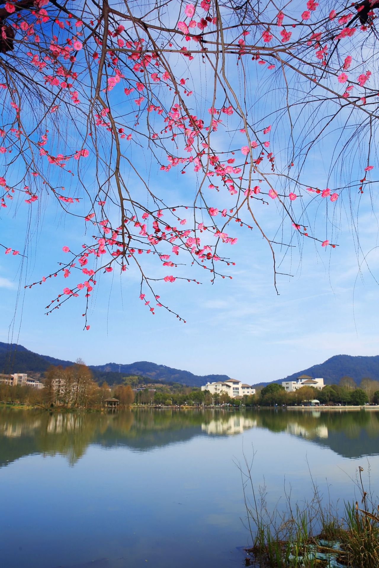 【携程攻略】临安区浙江农林大学(东湖校区)景点,地点 临安的花园