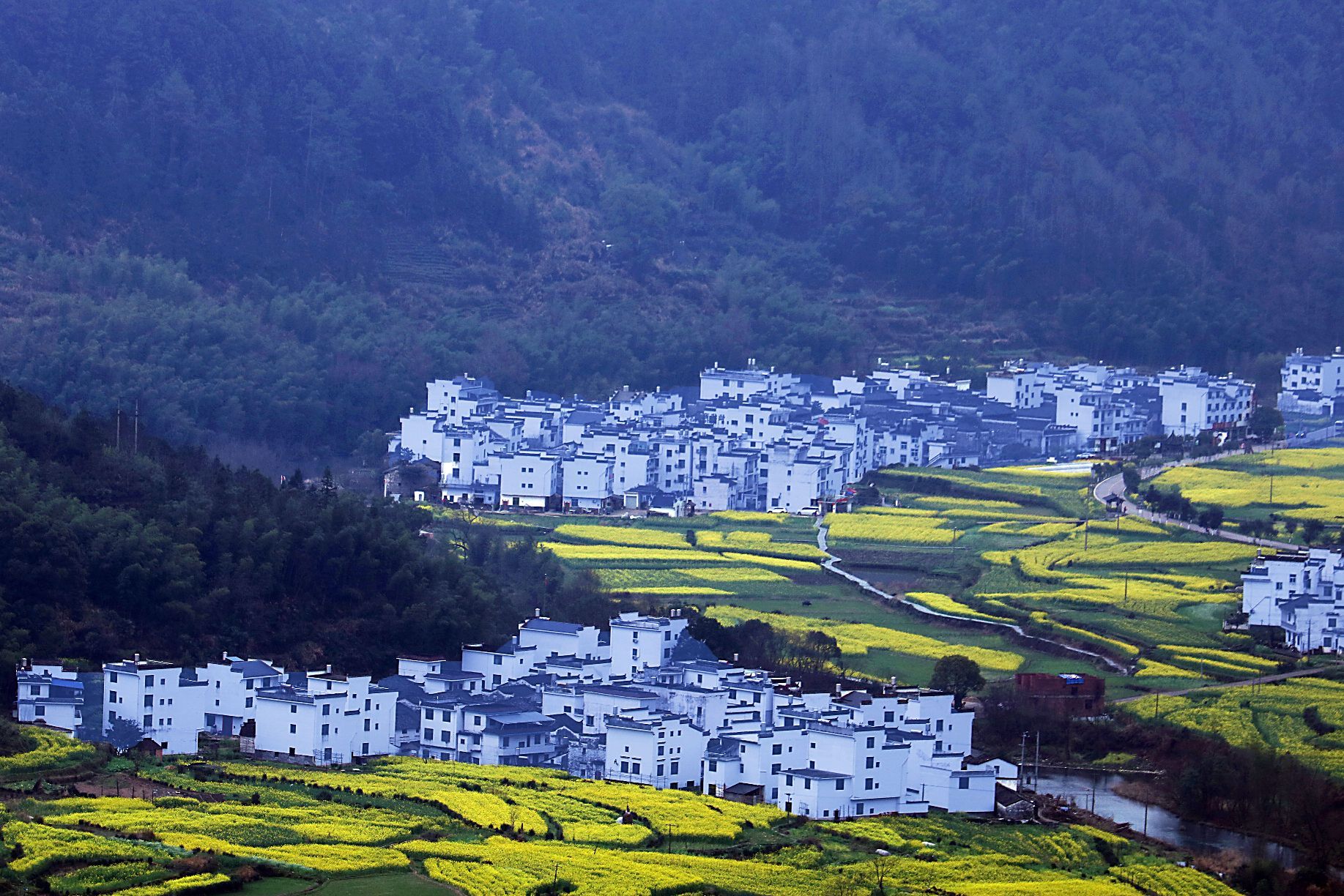 【携程攻略】婺源江岭景区景点,【满城尽带黄金甲,师.