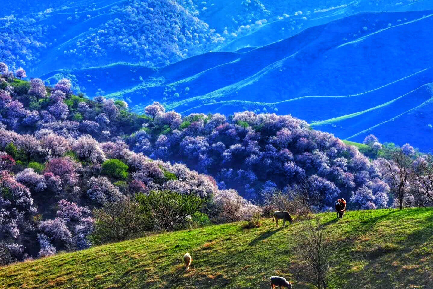 中华福寿山景区