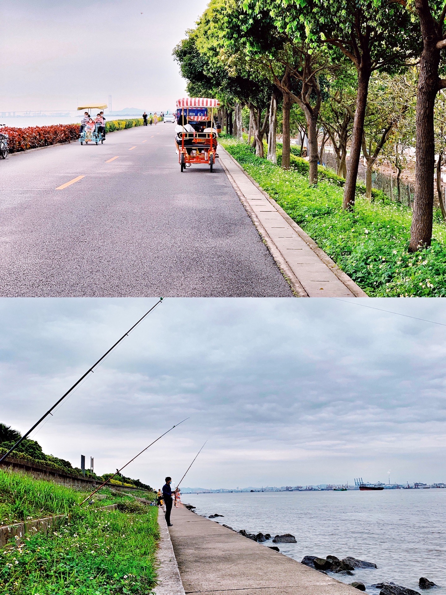 【携程攻略】广州海鸥岛景点,广州|周边游玩攻略|海边