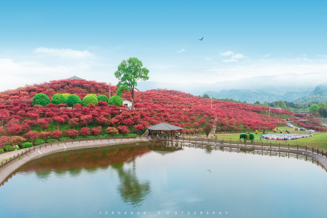 南湖多彩植物园