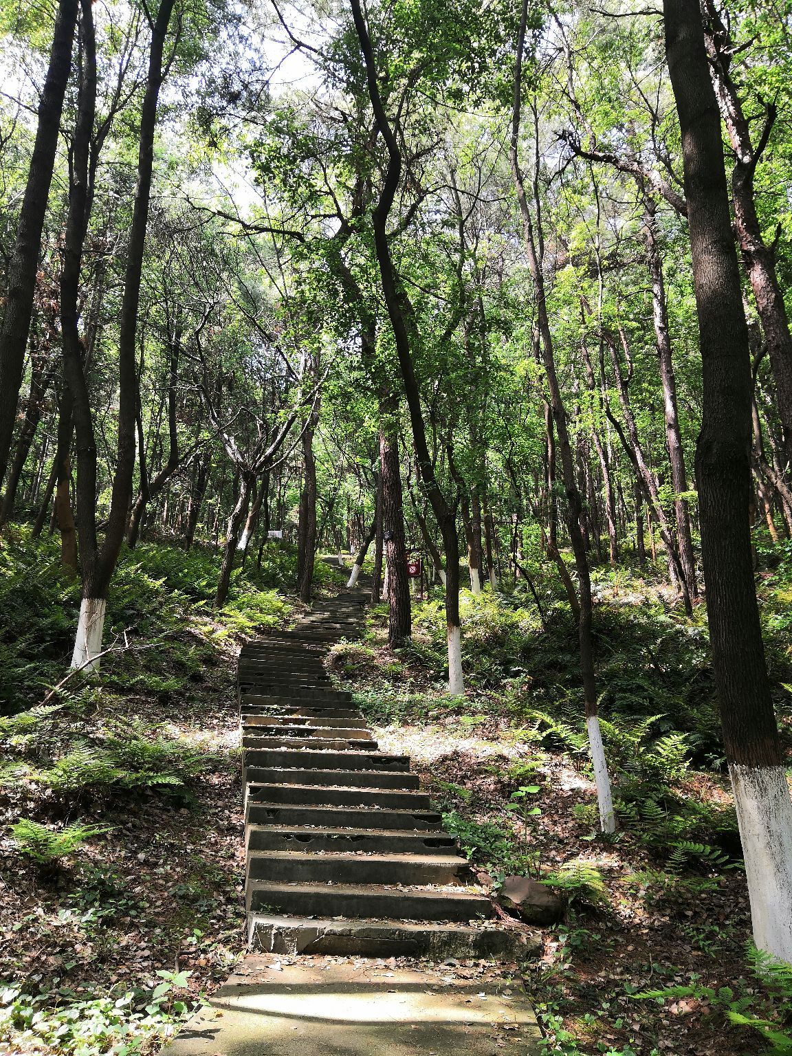 嘉山风景区