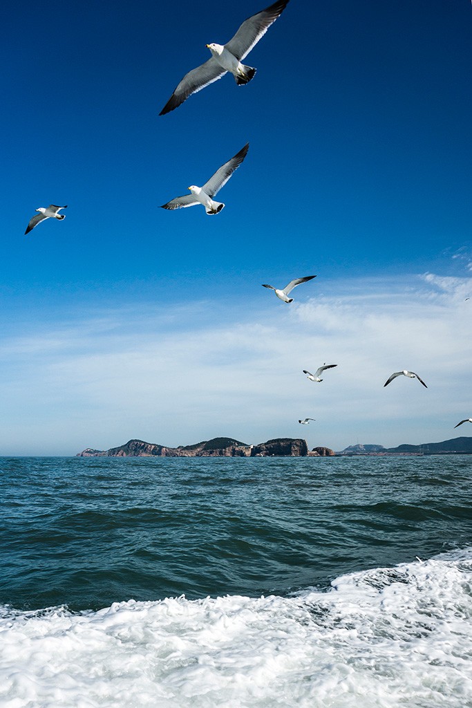海驴岛
